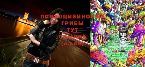 apvp Няндома