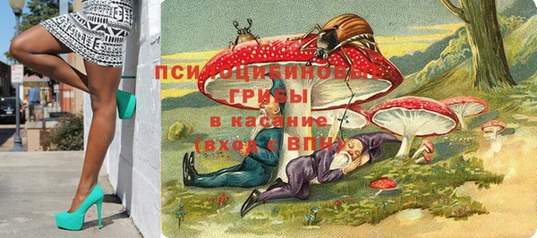 гашик Нязепетровск