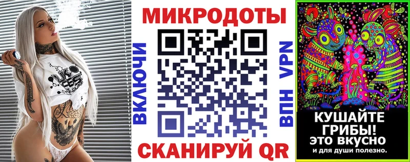 Псилоцибиновые грибы Psilocybine cubensis  Купить где  Горняк 