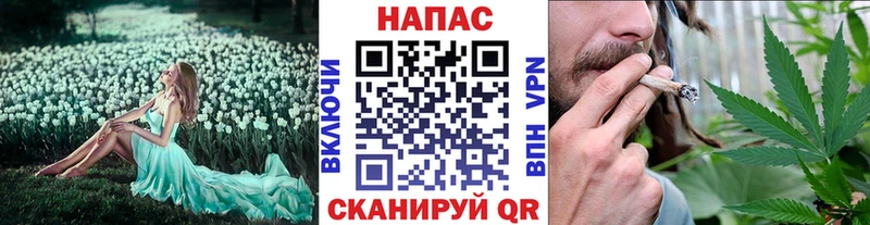Купить  Горняк  Марихуана семена 